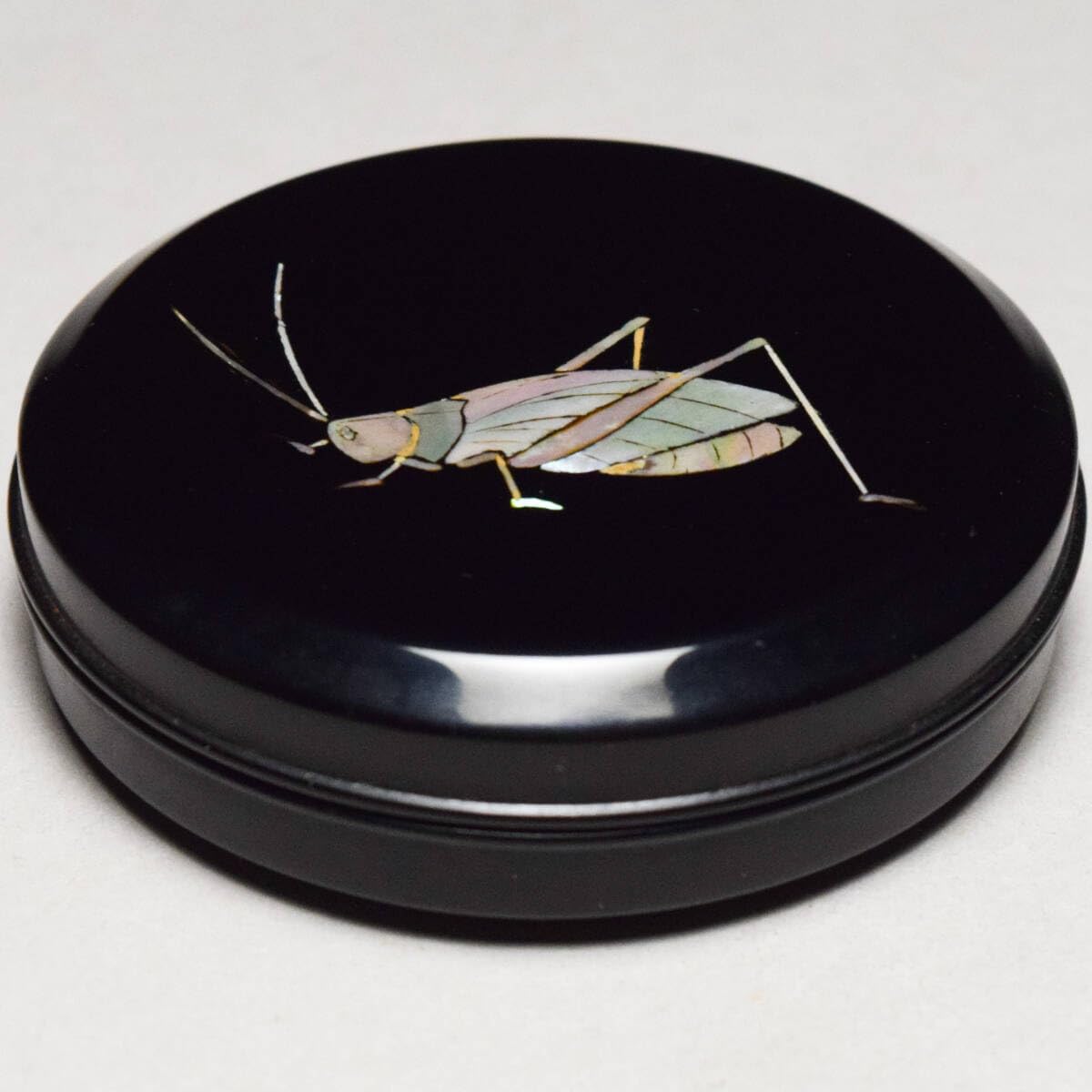 Amazon.co.jp: 漆匠二代佐野長寛造螺鈿鈴虫香合共箱茶道具漆器漆芸丸